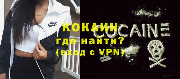 гашик Осинники