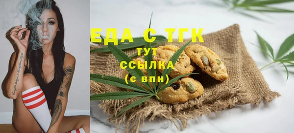 гашик Осинники